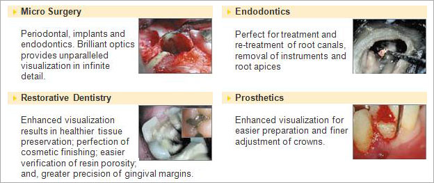 endo-microscopic1